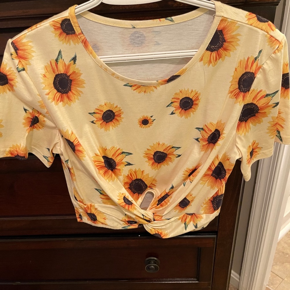 Sunflower crop